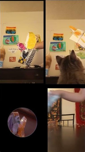 Dragon puppets on a zoom call #sunsetsigma