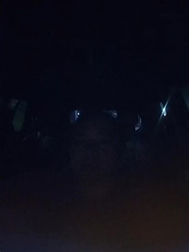 🚗NRC🚗. (Novita Rent car) (@metungkujuniordriversul1)’s videos with Captikus Manado - Coco lense & imho & Endha chakz