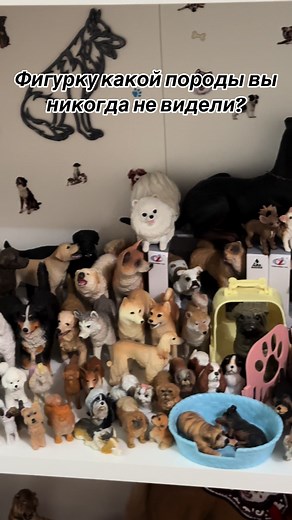 #дляколлекционеров #мояколлекция #шляйхфигурки #schleich #коллекциясобак #коллекциялошадей #collecta #лошадишляйх #собакишляйх #фигуркишляйх #safari #papo