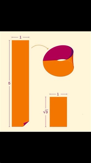 5.4K views · 62 reactions | Today ( November 17) is the 335th...