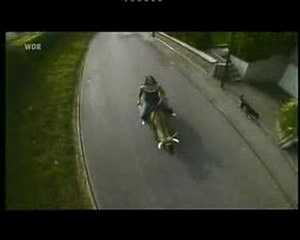 cowgirl, riding on a cow