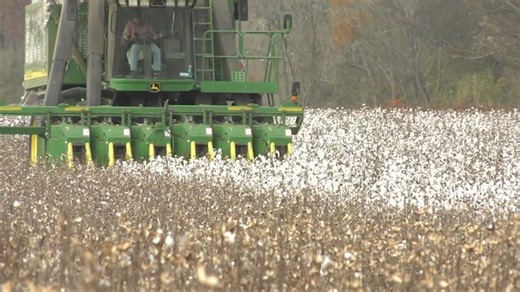 In this special report from Perry, Georgia, Farm Monitor's John Holcomb takes you inside the annual Joint Agriculture Committee Chairmen Ag Issues Summit. With the 2026 legislative session just around the corner, lawmakers, ag leaders, and university experts are gathering to address the pressing challenges facing Georgia's number one industry: agriculture. | Farm Monitor