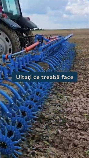 Pasi importanti pentru cultura porumbului ecologic