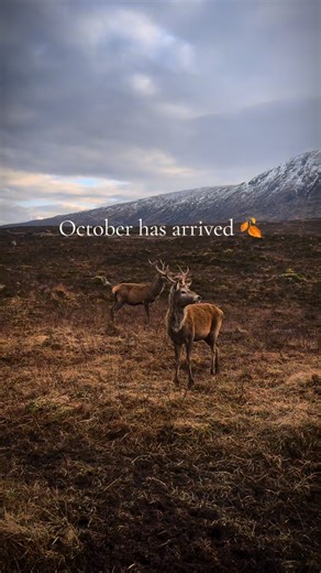 October has arrived 🏴󠁧󠁢󠁳󠁣󠁴󠁿🍂 #scotland #scotlandexplore #visitscotland #scotlandtravel #scotland_greatshots | Exploring Scotland