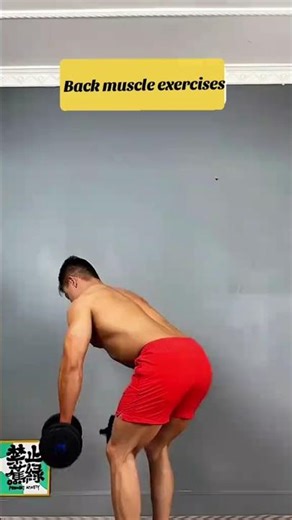 Back Muscles Exercises