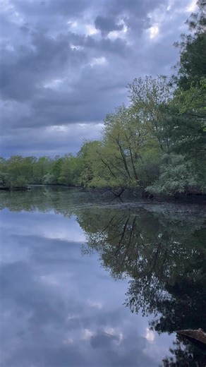 shelby (@davidwshawn)’s videos with Southern Cross - Crosby, Stills & Nash