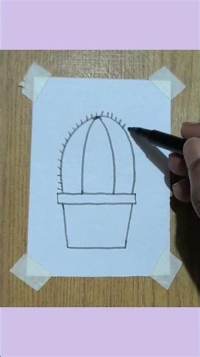 easy cactus drawing for Beginners