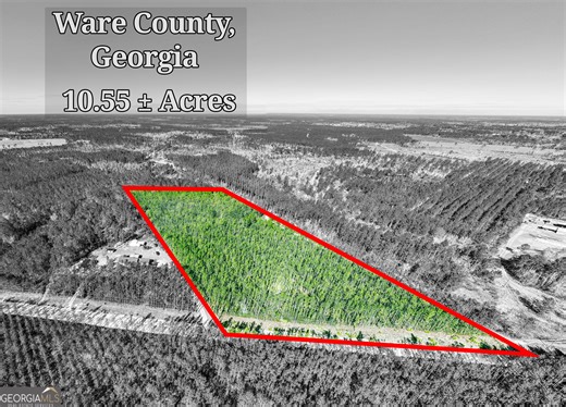 10 55 Acres McDonald Road N, Waycross, GA 31503 - MLS 10687166 - Coldwell Banker