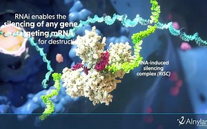 精美的RNA干扰视频，庞大的分子机器