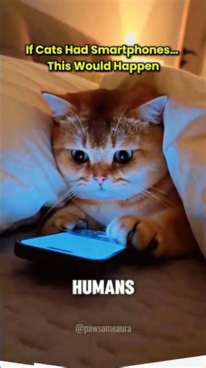 Cats Secretly Using Phones… Then Hiding When Owners Peek 😹📱 #funnycats #cutecats #animals #viral