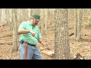 GROWTH RATES AND TREE AGES