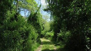 Hiking around an obscure Wellfleet island: Beach views, a spooky house and more