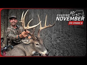 E14: 173" Illinois Dandy, Three Bucks Down In One Morning | Chasing November Season 10
