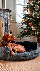 15K views · 985 reactions | Last summer, I found myself struggling...