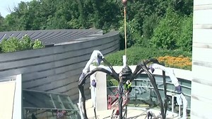 10K views · 204 reactions | The Art of Installation: Installing...