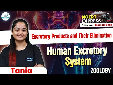 Excretory Products And their Elimination - Human Excretory System | NEET 2025 | Class 11 Biology