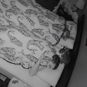 690K views · 14K reactions | 15 of the baddest bunnies around... | Tyla | Facebook