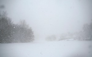 Stranded in the snowy wilderness? Here's how to survive