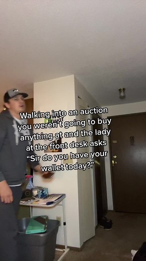 Dairy Cattle Auction Excitement