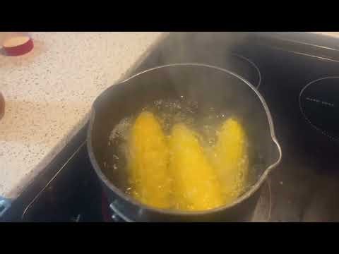 Elote en vaso,dual language program,project