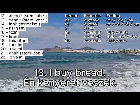 1. Hungarian Present Tense – Indefinite Conjugation Practice