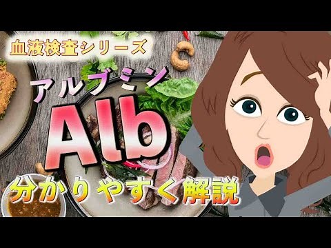 【栄養状態】Alb (アルブミン)について分かりやすく解説