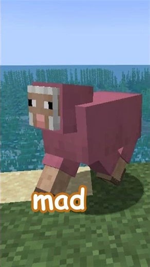 THE BEST DICE MOD INSIDE MINECRAFT!!!