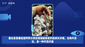 五招教你辨别真丝 、桑蚕丝、 绢丝 、仿真丝