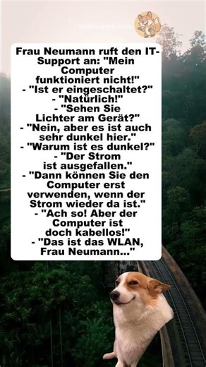 Frau Neumann und das WLAN 💻🤣 #witzig #humor #lustig
