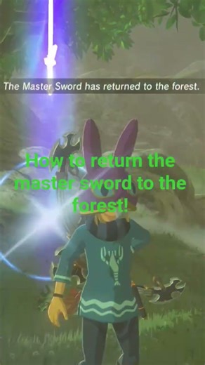 how to return the master sword to the forest! #botw