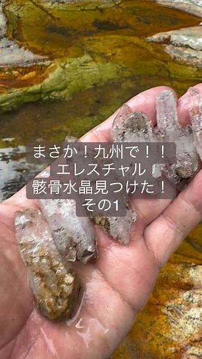 九州.沖縄のディープな自然遊び on Instagram: "九州で骸骨水晶（骸晶）を見つけてしまった！パワーストーンではエレスチャル、他にスケルタルクォーツやジャカレー水晶と言われている水晶です。九州産のエレスチャルは、噂程度では聞いたことがあったけど、ガマから掘り出したには初じゃないかな。私も見つけて色々調べるまでは、エレスチャルのことよく知らなかった。パワーストーンでは「水晶の最終形態」「天使からの贈り物」とも書かれているが、実際、この水晶ができた過程がおもしろい。水晶は、原料となる二酸化ケイ素が熱水に溶け込み、それが結晶してできる。その濃度が安定していると通常の水晶のようになる。しかし濃度が高かった場合、結晶する速度が速く、最も成長するのが速いはずの中央部分の濃度が下がり、成長が遅れる。逆に稜や角付近の濃度が高くなり、成長を早める。このような状況で出来るエレスチャルは、いつかの特徴がみられる。例えば、表面がゴツゴツしてる。水晶の中に気泡が入っている。水が入る場合もある。錐面や柱面に穴があく。角の部分や、下からも水晶が生えたりする。見つけた水晶も、水入りは無かったが、それ以外の特