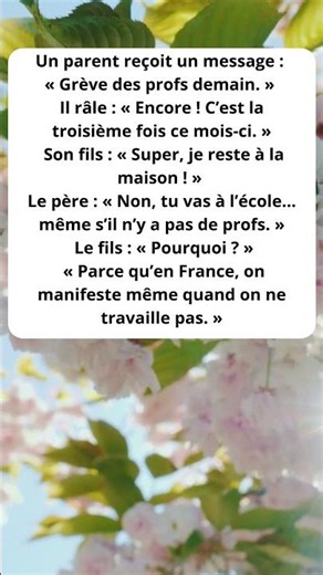 😂 Grève des Profs : Anecdote Drôle Humour Français 2026 🇫🇷