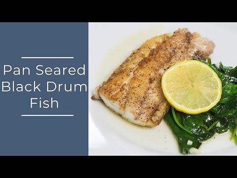 Pan Seared Black Drum Fish
