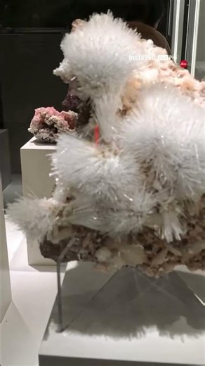 Hematite and Scolcite #minerals #crystals #geology