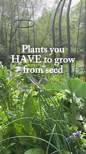 39K views · 3K reactions | Comment SEEDS to get my all favorite seeds...