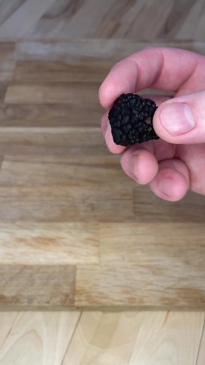 Delicious Truffle & Mushroom Pasta Recipe