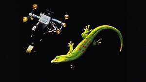 Robots inspired by cockroach ingenuity