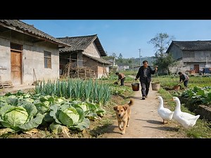 Real Rural China | Chengdu Village Life: Water, Gardens & Geese
