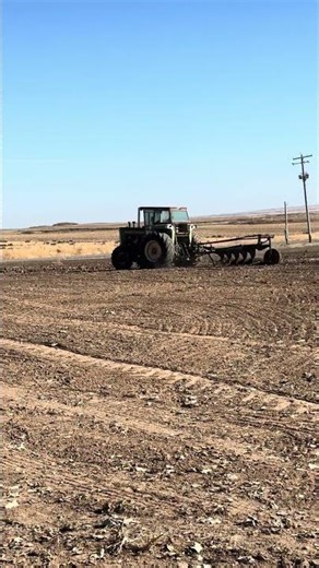 Oliver 1950 with a 5 bottom plow