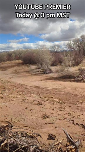 #killerbee #killerbeeguy #honeybee #invasivespecies | Killer Bee Guy