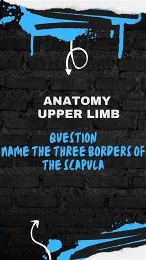 learn anatomy with ease using this quiz