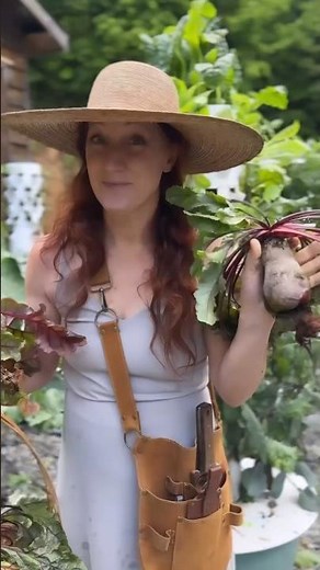 Growing Beets on a vertical hydroponic towergarden. #eattobeatdisease #towergarden
