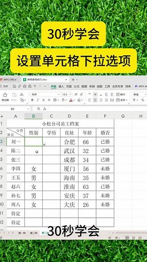 30秒学会WPS表格excel设置单元格下拉选项 #办公技巧 #excel技巧 #excel #表格 #办公日常