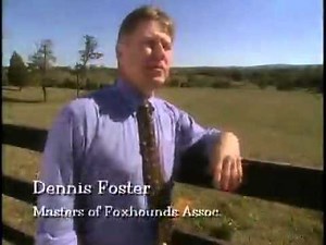 Dog Breeds - English Foxhounds. Dogs 101 Animal Planet