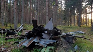 Garbage in the forest. Pollution of nature. Landfill in the forest.
