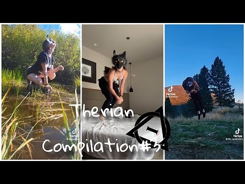 🐾🐚therian compilation#3🐚🐾