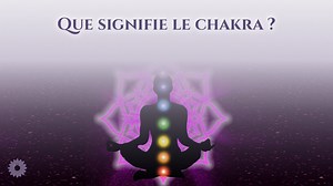 QUE SIGNIFIE LE CHAKRA ?