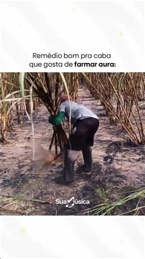 Cortar cana = aura + ego 🤪🤣🤣Vídeo: @‌_felipelyma