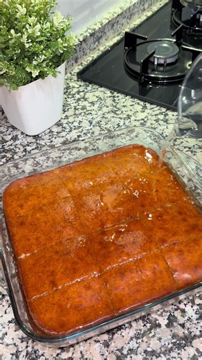 Discover Rize with Unique Local Insights