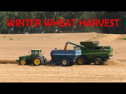 AMISH LAND Wheat Harvest With John Deere In Lancaster Pennsylvania Dutch Country